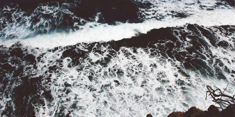 2024年最值得关注的十大技术博客主题与趋势：编程与社区分享新方向