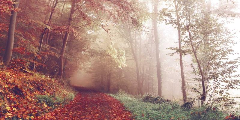 Hugo vs. Gatsby vs. Next.js：为编程、网络安全与人工智能博客选择最佳静态站点生成器