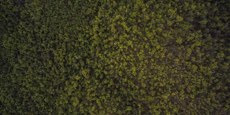 人工智能与赛博朋克：技术博客的多语言内容策略如何征服全球开发者