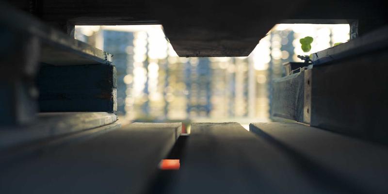 人工智能赋能网络安全：社区分享如何重塑防御范式