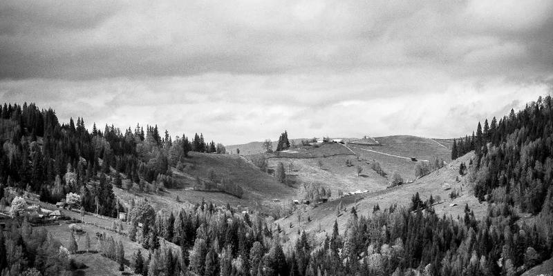 从技术博客到知识生态:一个网络安全社区的案例分析与启示