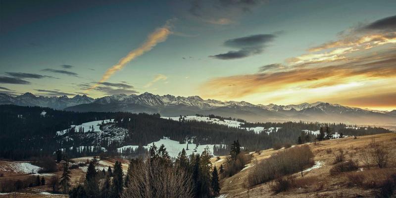 从编程到社区分享：构建网络安全意识的技术博客指南