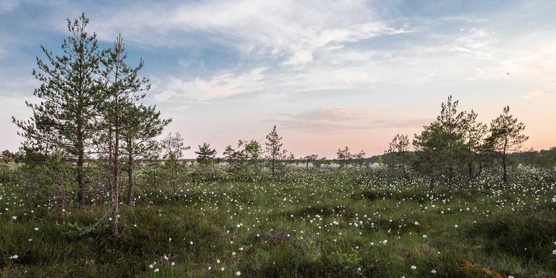 在赛博朋克美学中编程：技术博客的灵感与未来代码实践