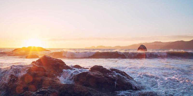 技术博客与社区分享：编程学习者的成长加速器