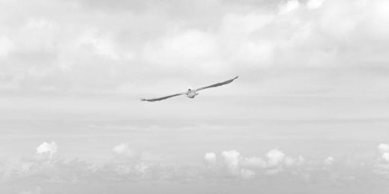 技术博客应用：构建IT知识沉淀与社区分享的新生态