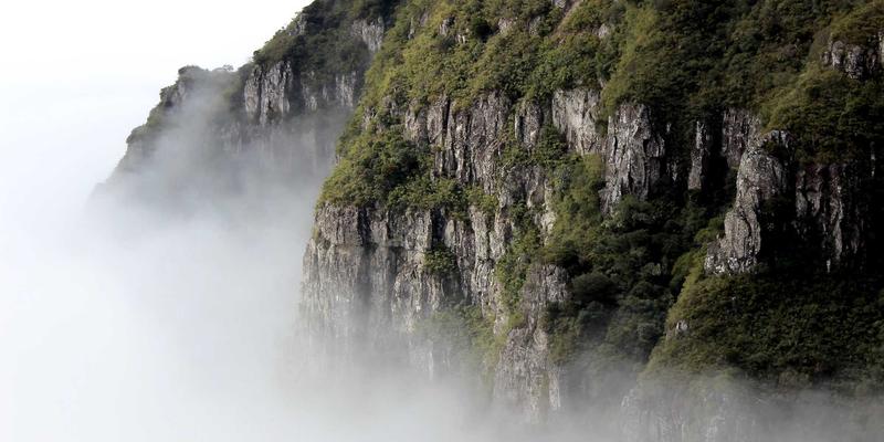 编程与人工智能的赛博朋克时代：技术博客如何对抗知识过时