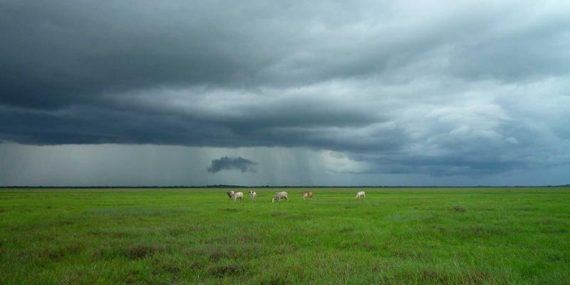 赛博朋克时代的IT知识革命：在技术博客中集成Jupyter Notebook与可运行代码片段