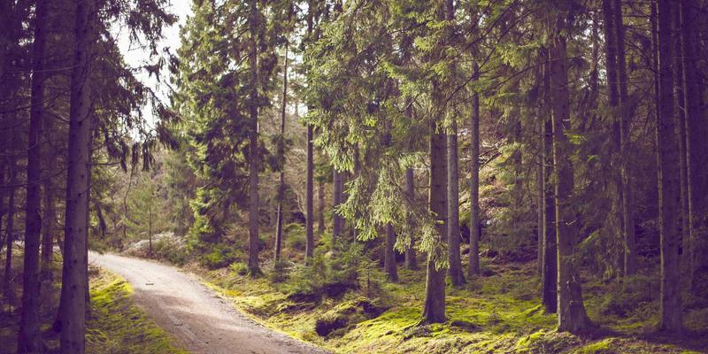 赛博朋克视角下的网络安全：IT知识博主的实战攻略