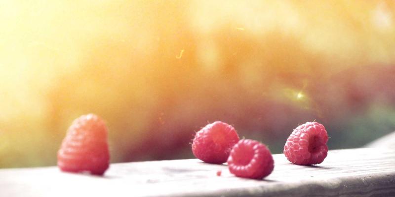 赛博朋克风格技术博客性能优化全攻略：从数据库索引到前端资源加载的社区分享与开发教程